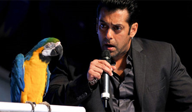 Bigg Boss 6: Salman Khan and his monkey act!